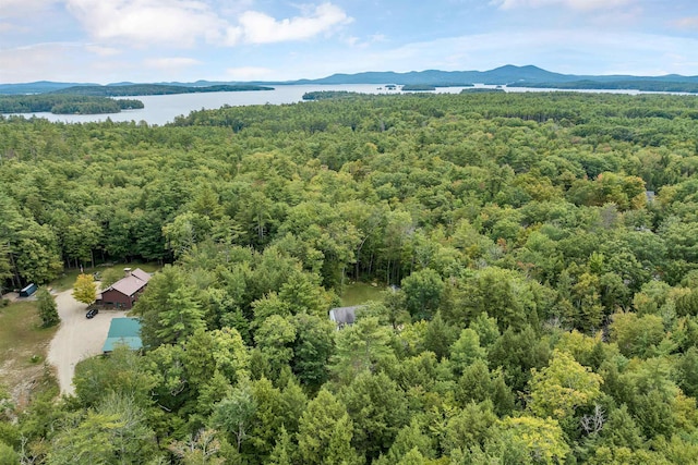 drone / aerial view featuring a water and mountain view