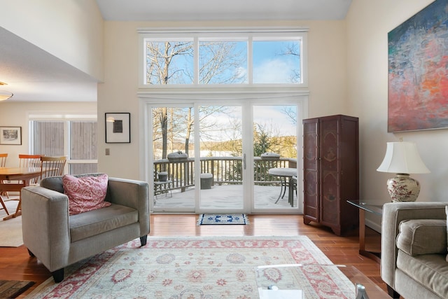 living room with light hardwood / wood-style flooring and a high ceiling