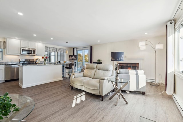 living room featuring a baseboard radiator and light wood-type flooring