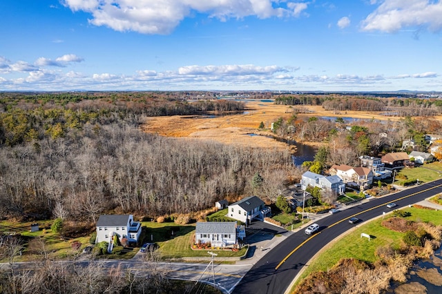 bird's eye view