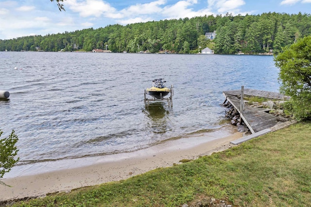 dock area with a water view