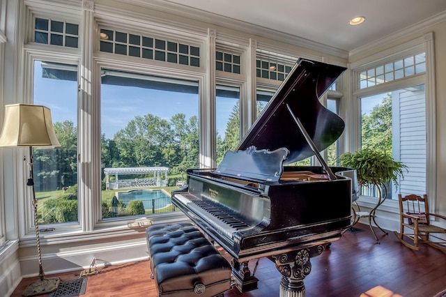 miscellaneous room with crown molding, a wealth of natural light, and dark hardwood / wood-style floors