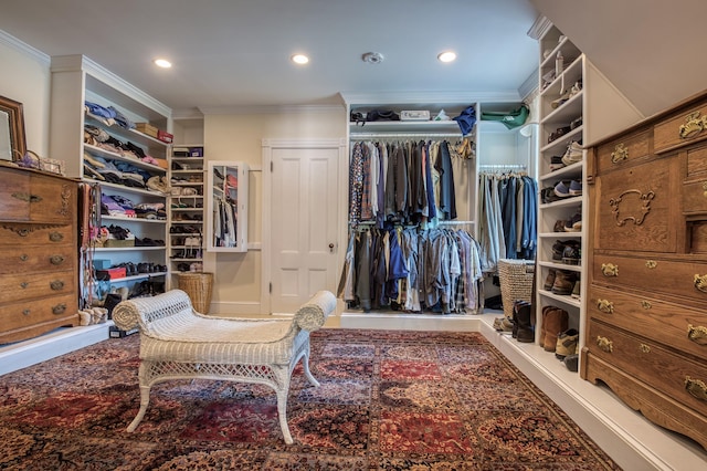 view of spacious closet