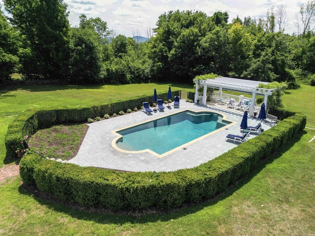 view of pool with a yard, a pergola, and a patio