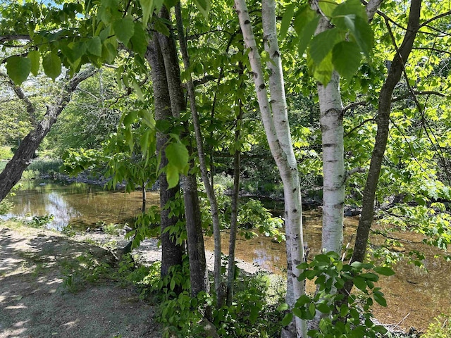 view of nature with a water view