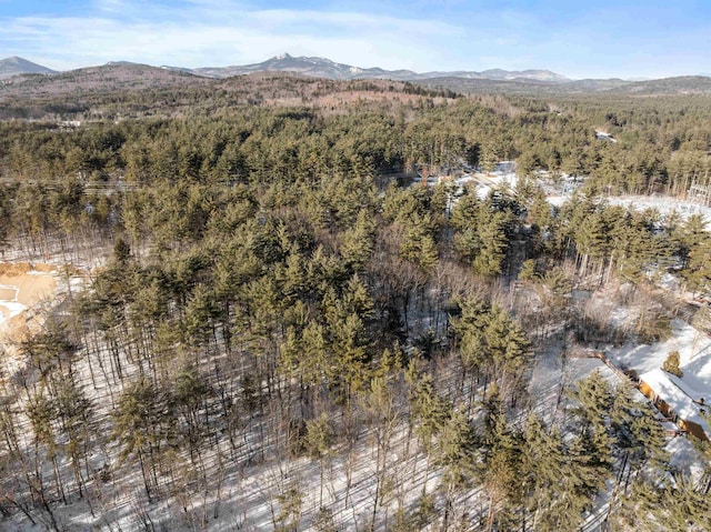 drone / aerial view featuring a mountain view