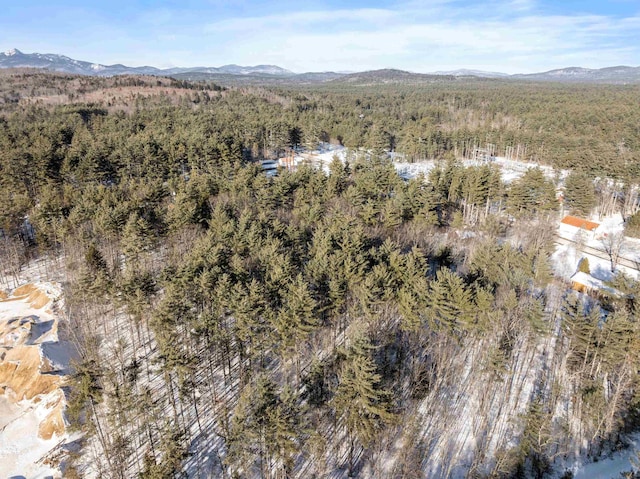 drone / aerial view featuring a mountain view