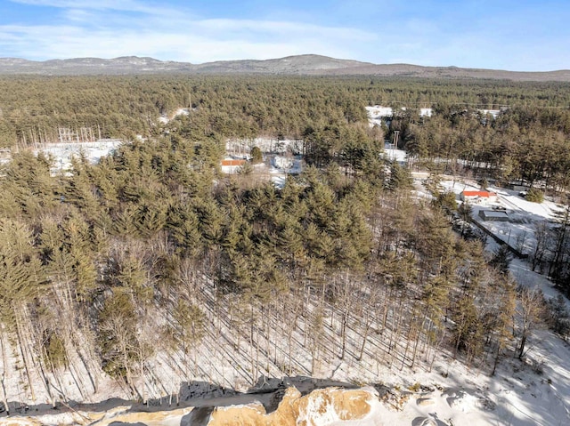 drone / aerial view featuring a mountain view