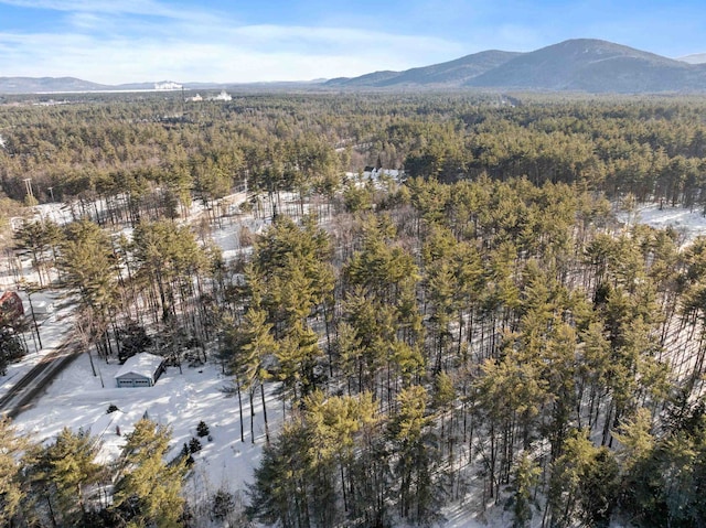 bird's eye view featuring a mountain view