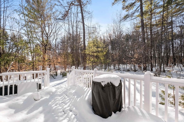 view of yard covered in snow