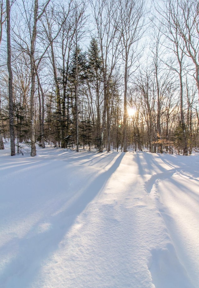 view of yard layered in snow