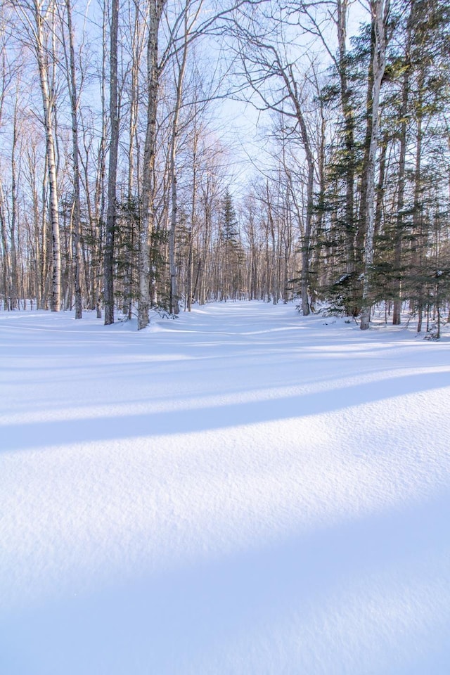 view of yard layered in snow