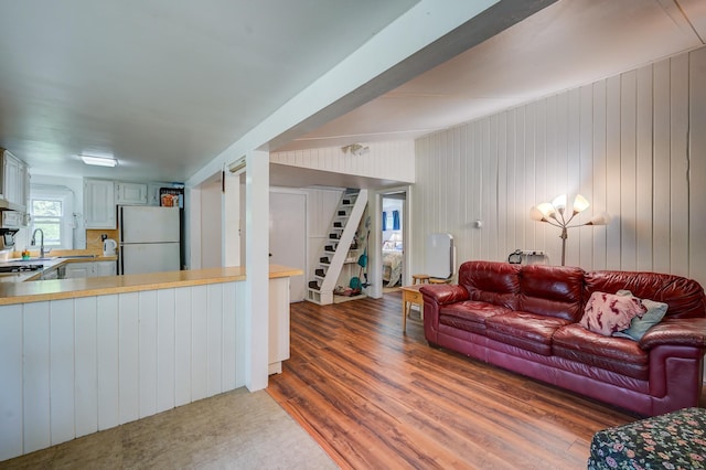 living room featuring dark hardwood / wood-style floors and sink