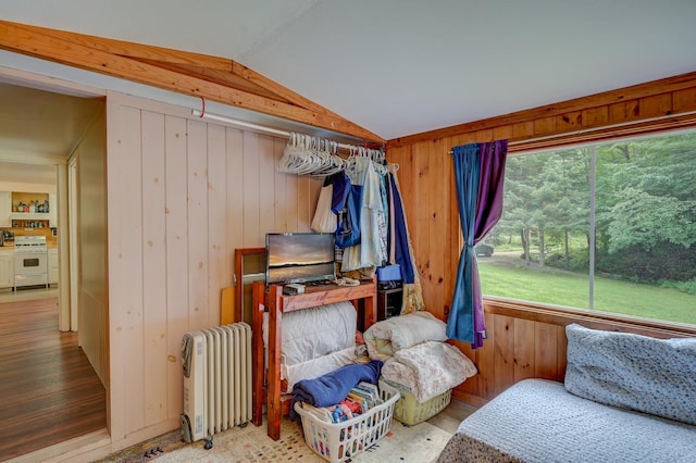 interior space featuring wooden walls, radiator, vaulted ceiling, and a wealth of natural light