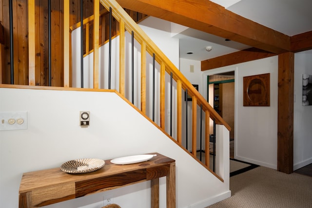 staircase featuring carpet floors