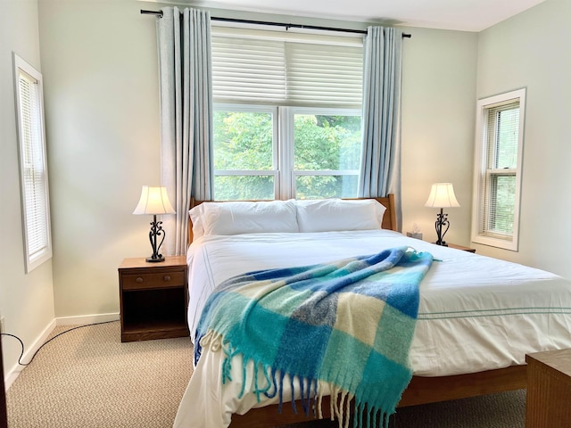 bedroom featuring multiple windows and carpet