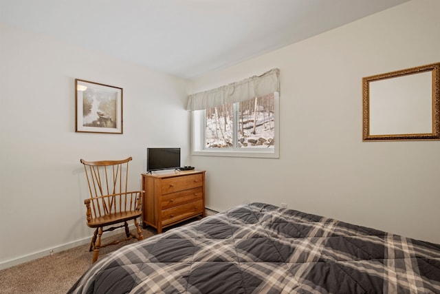 bedroom featuring a baseboard radiator and carpet