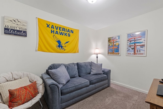 living room with carpet floors