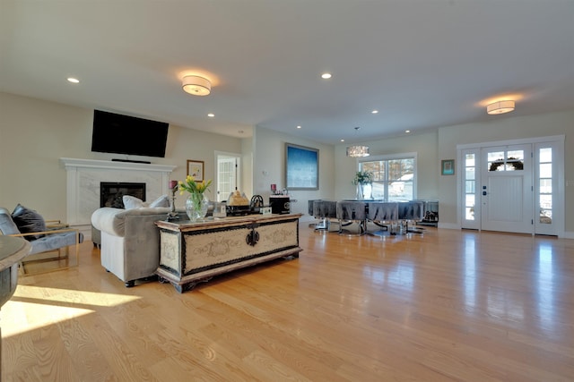 living room with a premium fireplace and light hardwood / wood-style floors