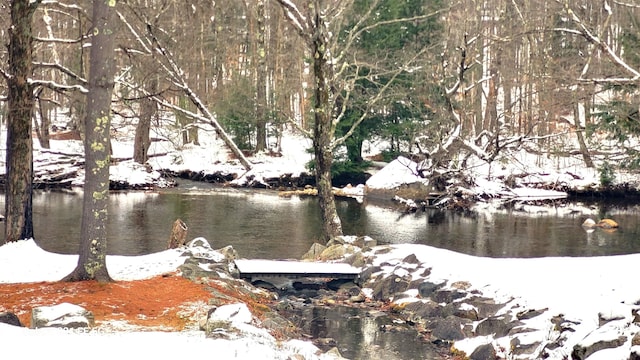 view of water feature