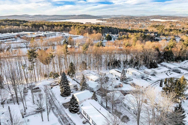 snowy aerial view featuring a mountain view