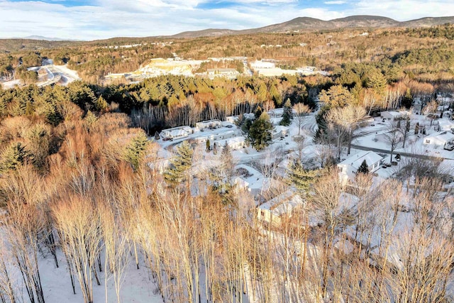 snowy aerial view with a mountain view