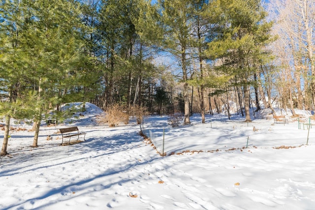 view of snowy yard