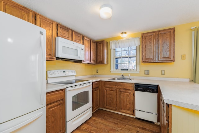 kitchen with sink, white appliances, and dark wood-type flooring