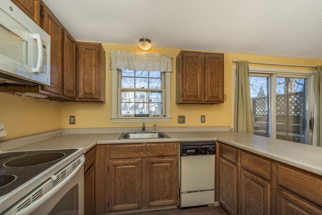 kitchen with white appliances, a healthy amount of sunlight, sink, and a textured ceiling