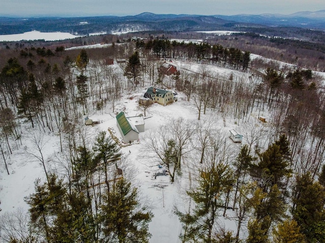 snowy aerial view featuring a mountain view