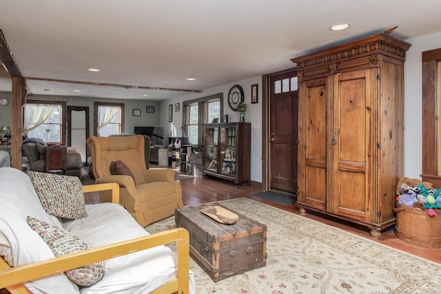 living room with wood-type flooring