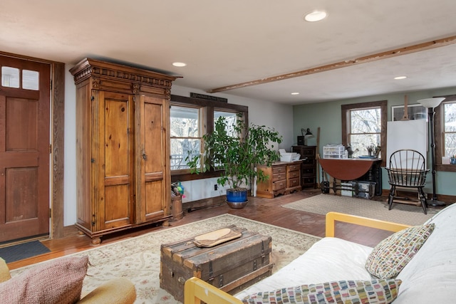 living room featuring hardwood / wood-style flooring