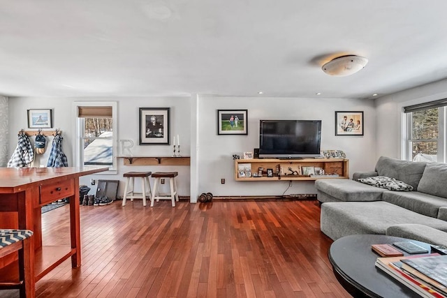 living room with hardwood / wood-style floors and plenty of natural light