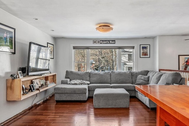 living room featuring dark wood-type flooring