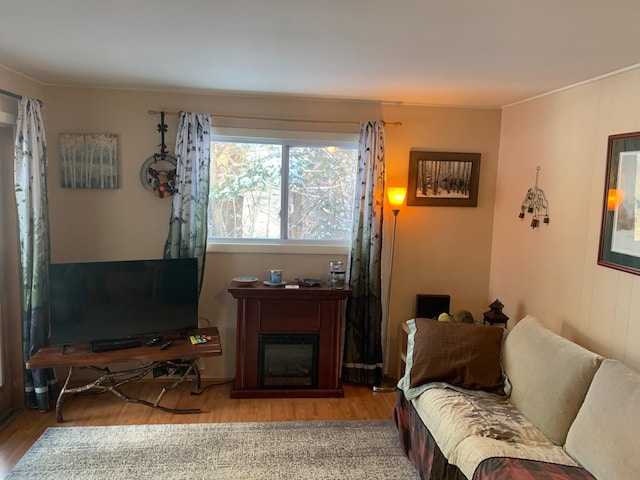 living room featuring light hardwood / wood-style flooring