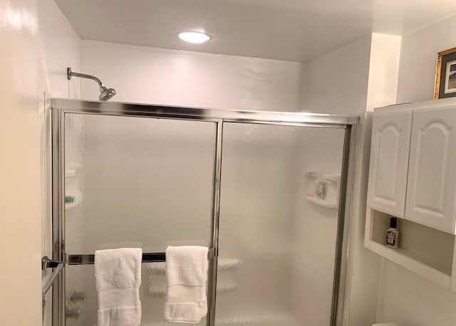 bathroom featuring a shower with shower door