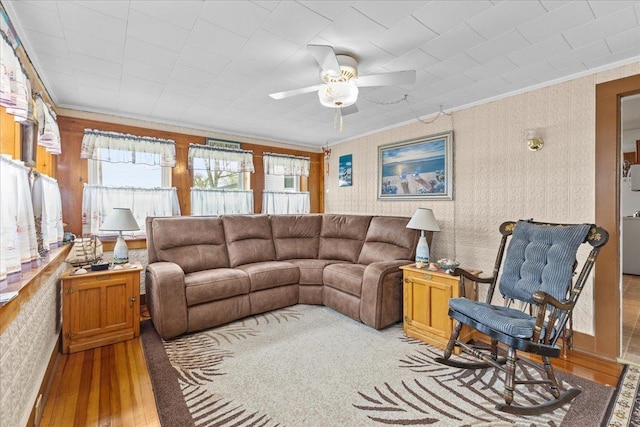 living room with ornamental molding, ceiling fan, and light hardwood / wood-style flooring