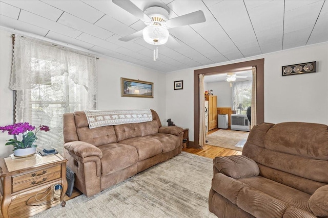 living room featuring crown molding, ceiling fan, and light wood-type flooring