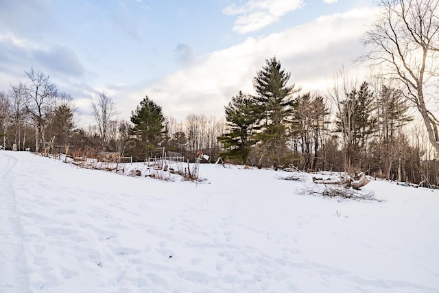 view of yard covered in snow