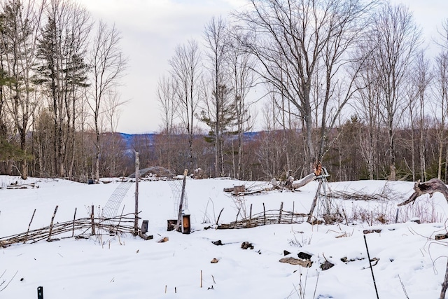 view of snowy yard