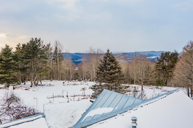 view of mountain feature