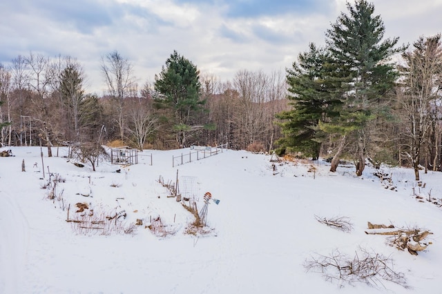 view of yard layered in snow