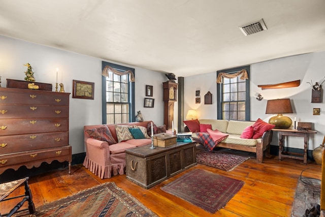 living room featuring wood-type flooring