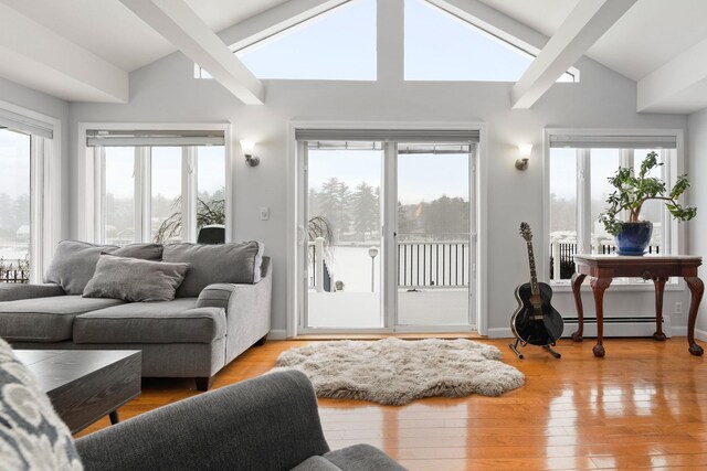 living room with a baseboard radiator, a healthy amount of sunlight, and light hardwood / wood-style flooring