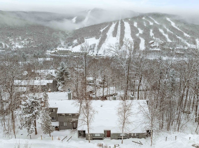 view of mountain feature