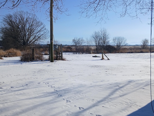 view of snowy yard