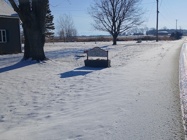 view of yard layered in snow