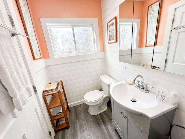 bathroom featuring vanity, toilet, and hardwood / wood-style floors