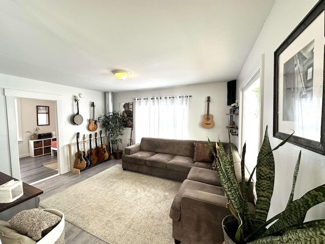 living room with hardwood / wood-style flooring and plenty of natural light