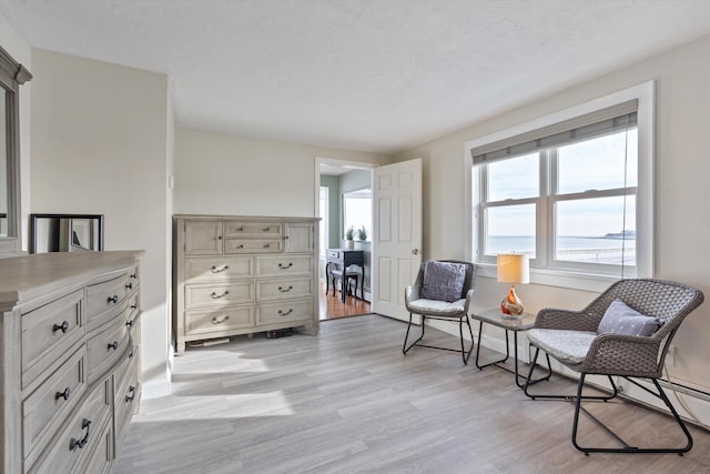 living area with a textured ceiling and light wood-type flooring